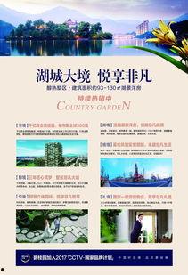 九江碧桂园爆料案件最新,揭开豪宅背后的惊人真相  第2张